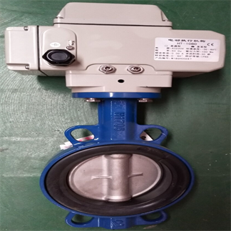 電動(dòng)閥門(mén)